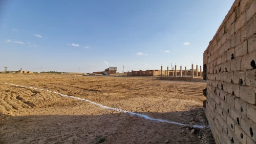 Vente Terrain Agricole Ouled Djellal Ouled Djellal