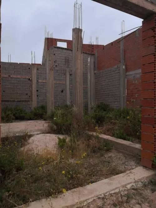 Vente Terrain Tlemcen Nedroma