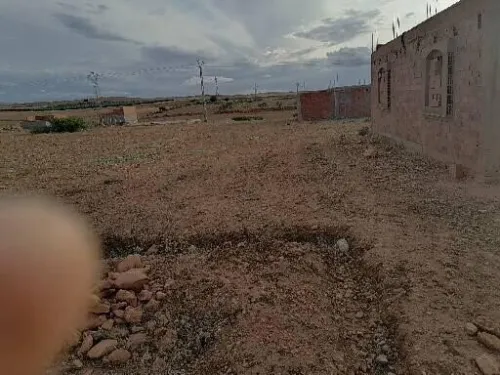 Vente Terrain Tlemcen Sidi medjahed