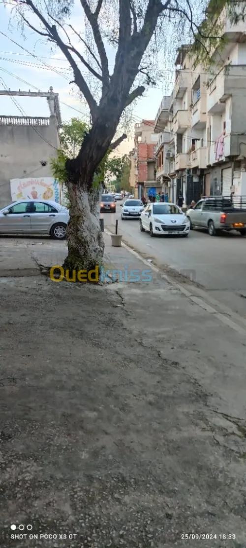 Location Local Alger Bordj el kiffan