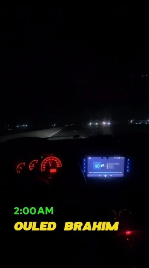 Fiat Palio 2008 Fire