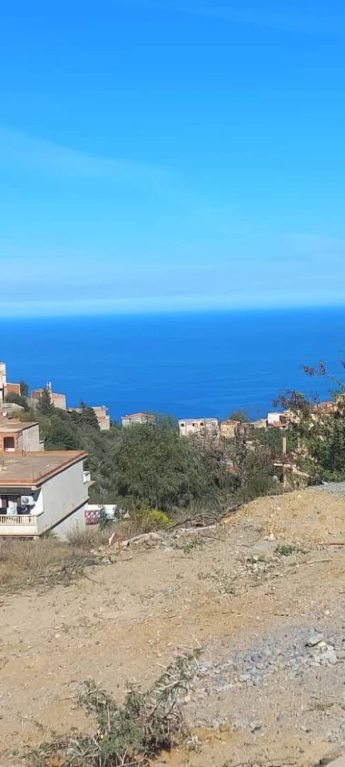 Vente Terrain Alger Bouzareah