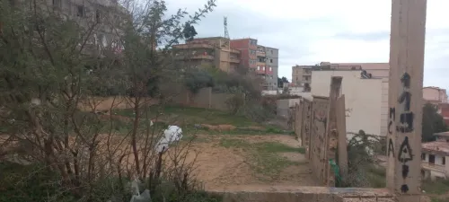 Vente Terrain Alger Bouzareah