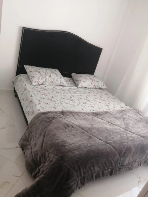Vente Appartement Studio Alger Alger centre