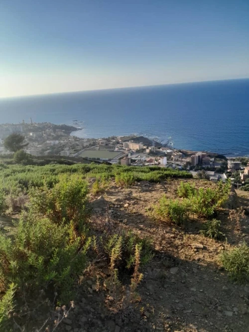Vente Terrain Tipaza Bou ismail