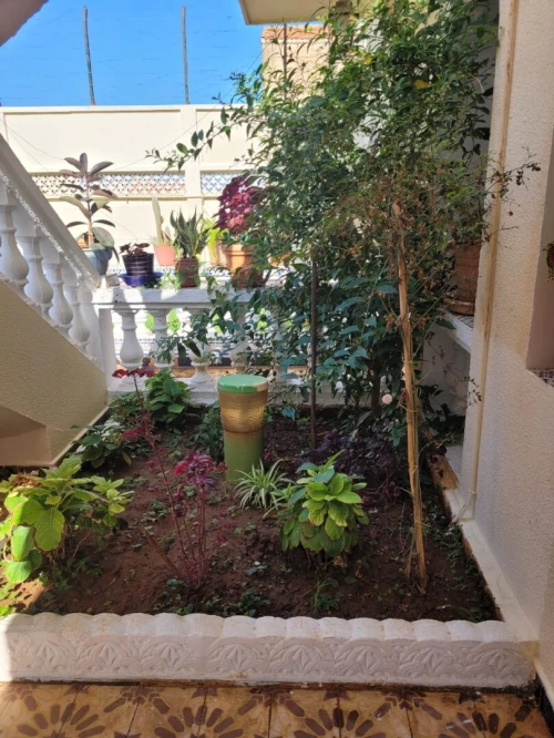 Vente Villa Alger Bouzareah