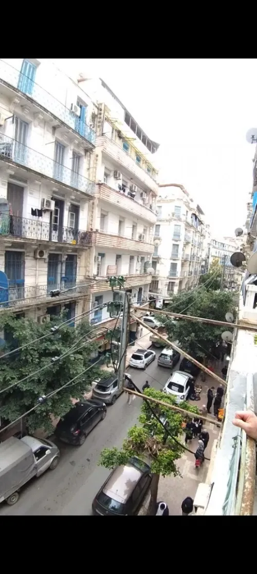 Location Appartement F2 Alger Alger centre