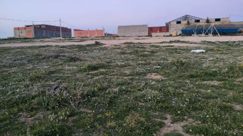 Vente Terrain Sétif Ain arnat