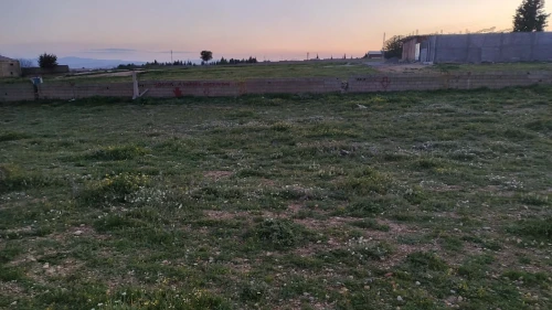 Vente Terrain Sétif Ain arnat