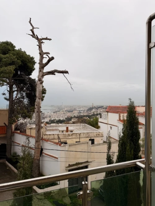 Location Appartement F3 Alger El biar