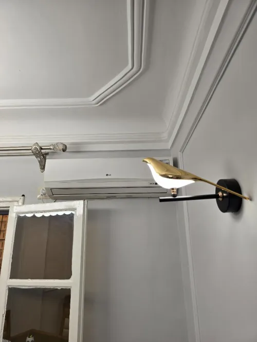 Vente Appartement F4 Chlef Chlef