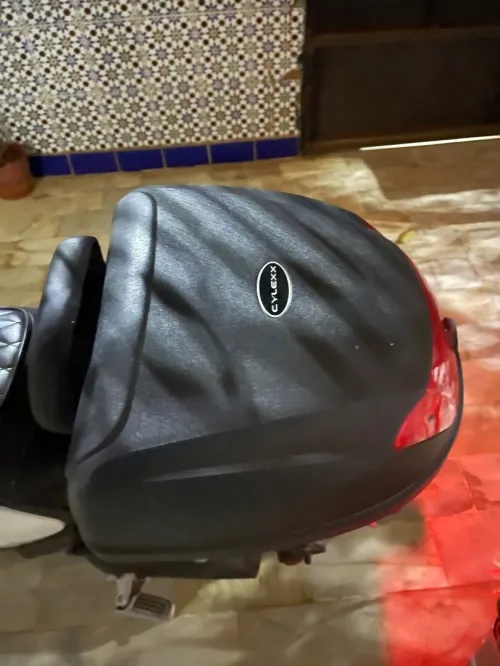 Niu mimo sport 2024