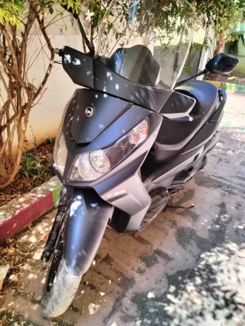 CITYCOM S 300 CITYCOM S 300 2019