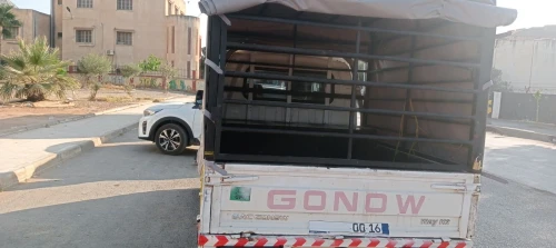 Gonow Mini Truck Double Cabine 2019 Mini Truck Double Cabine