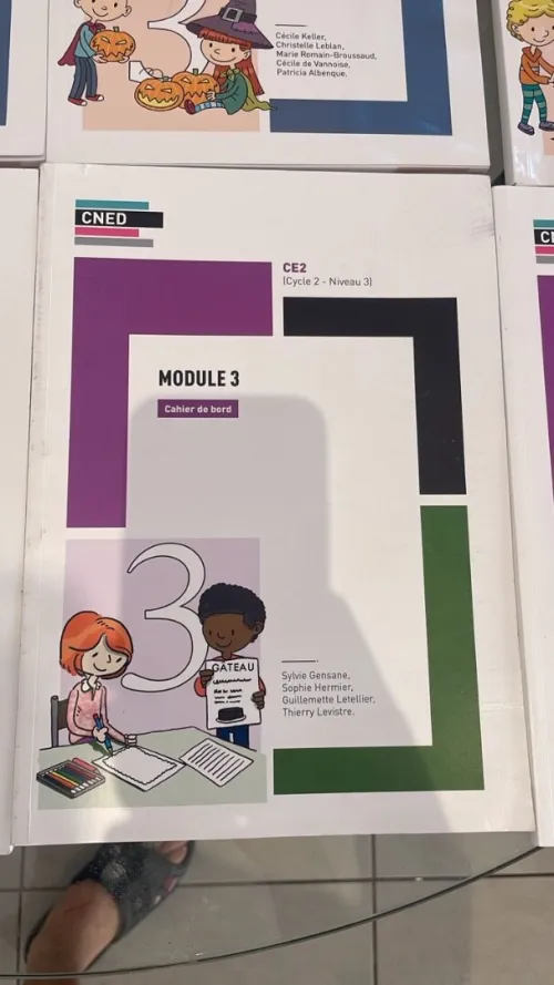 Livre cned complet gs cp ce2 etc