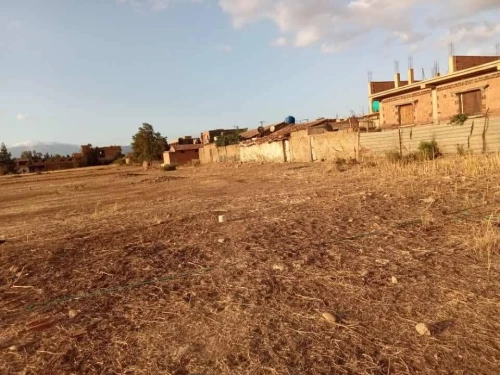 Vente Terrain Aïn Defla Bir ould khelifa