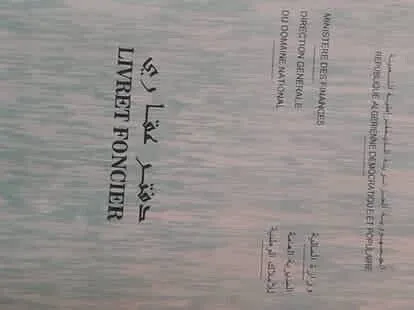 Vente Terrain Aïn Defla Bir ould khelifa
