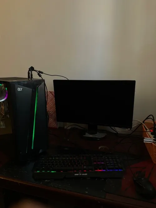 Pc gamer + clavier souris + écran 