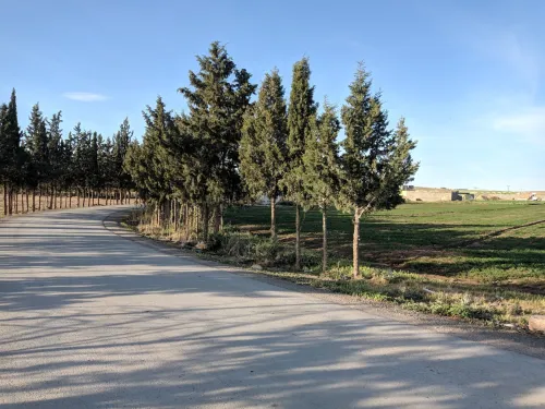 Vente Terrain Setif Guidjel