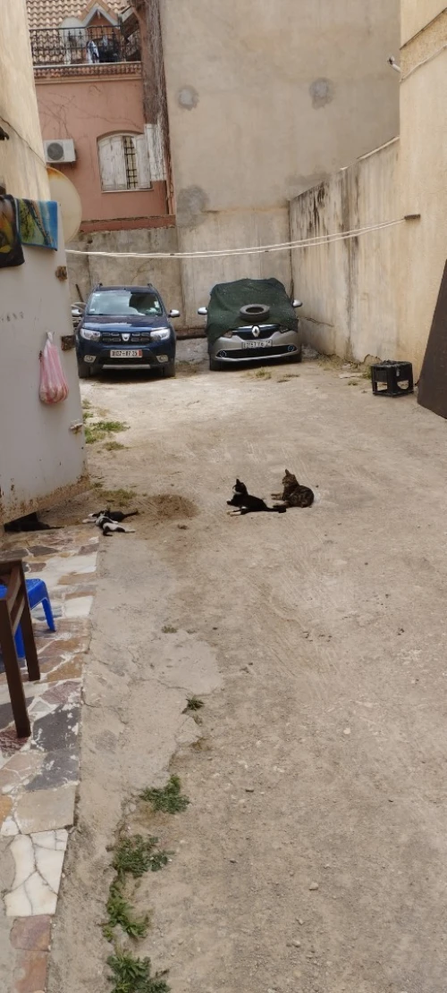 Vente Villa Constantine Constantine