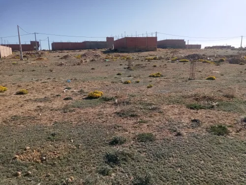 Vente Terrain Khenchela El mahmal