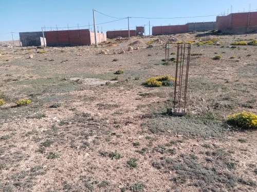 Vente Terrain Khenchela El mahmal