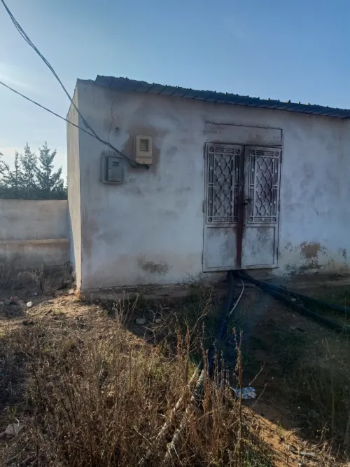 Vente Terrain Agricole Tlemcen Hennaya