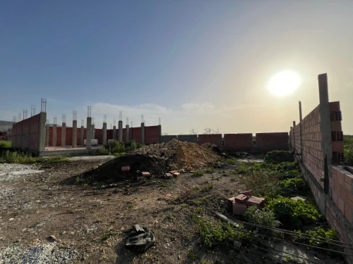Vente Terrain Blida Meftah