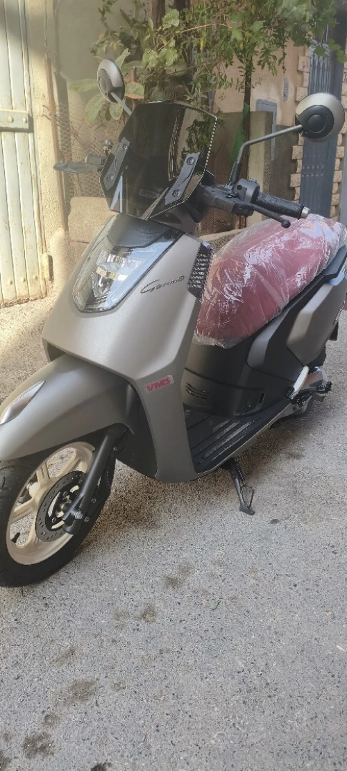 Vms Gemma 2025