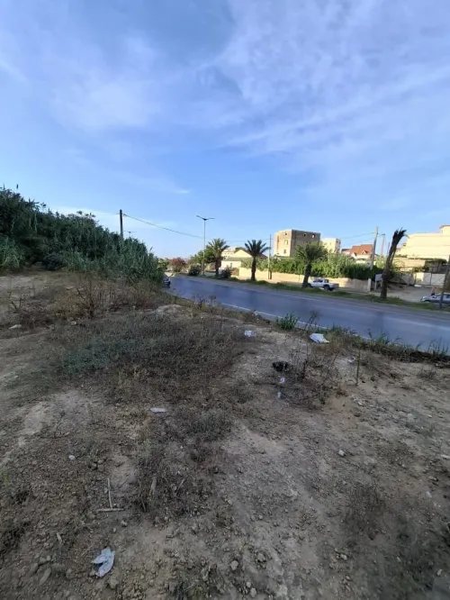 Vente Terrain Alger Bordj el kiffan 6