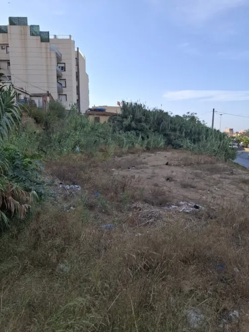 Vente Terrain Alger Bordj el kiffan 4
