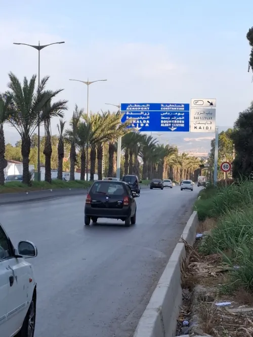 Vente Terrain Alger Bordj el kiffan