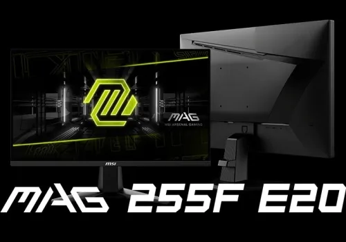 ECRAN MSI MAG 255F E20 25INCH - IPS - 200HZ - 0.5MS