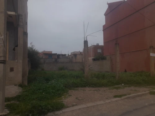 Vente Terrain Blida Bougara