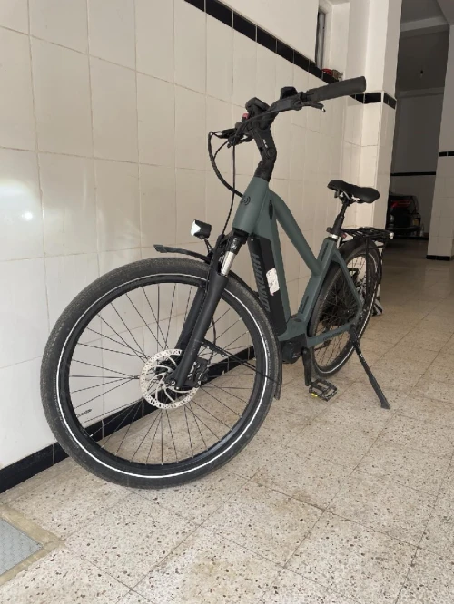 Vélo électrique WINORA sinus 9