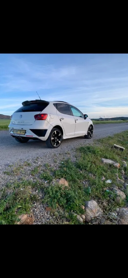 Seat Ibiza 2012 Loca