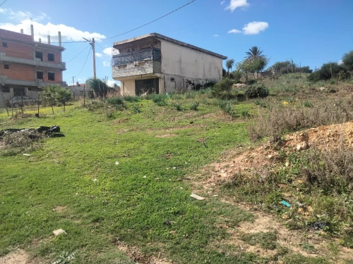 Vente Terrain El Tarf Raml souk souarekh