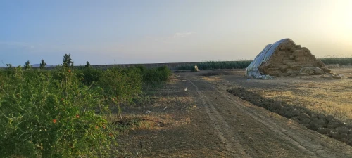Vente Terrain Agricole Relizane Oued rhiou