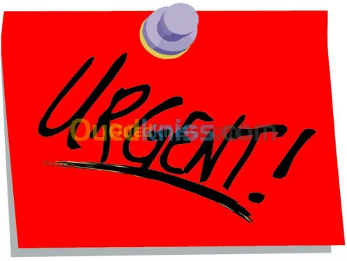 Cherche location Appartement Alger Alger centre