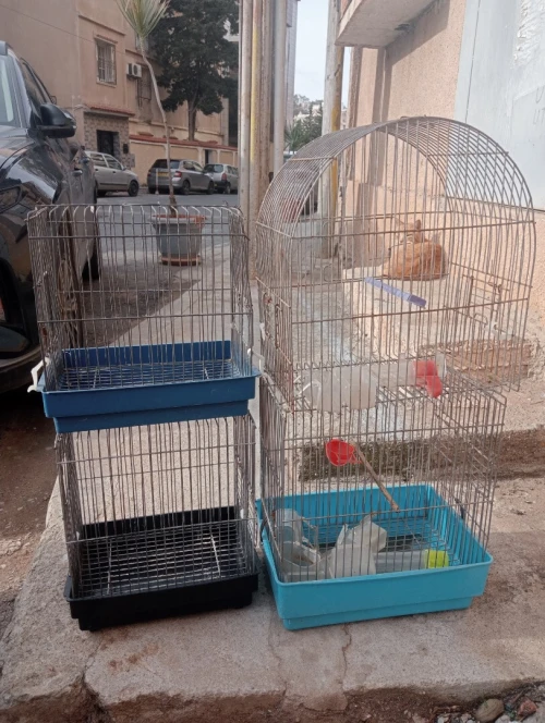 Cages pour oiseaux