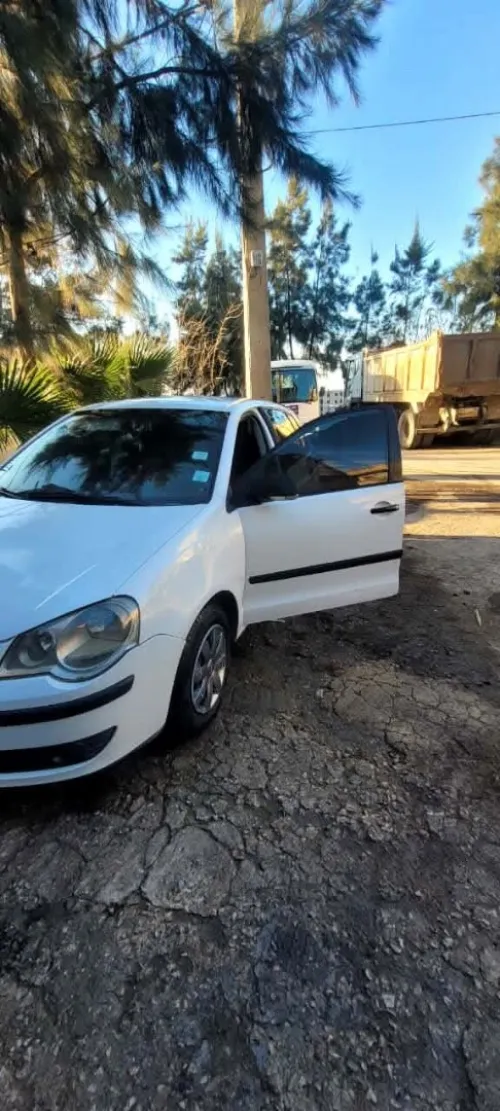 Volkswagen Polo 2006 Polo