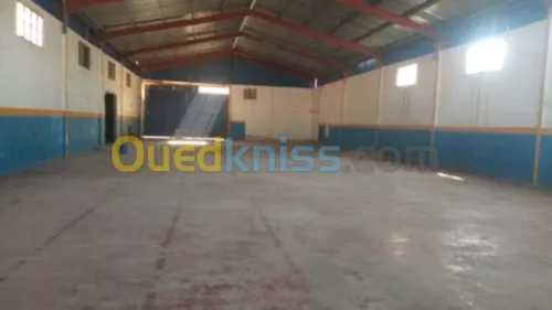 Location Hangar - Usine Blida Guerrouaou