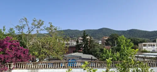 Vente Terrain Skikda Filfla