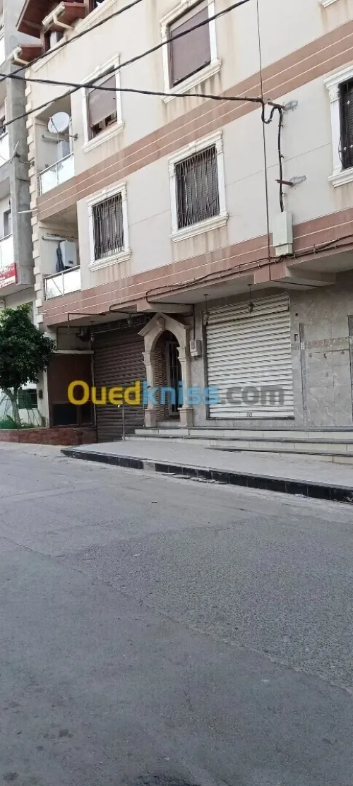 Location Local Alger Ain taya