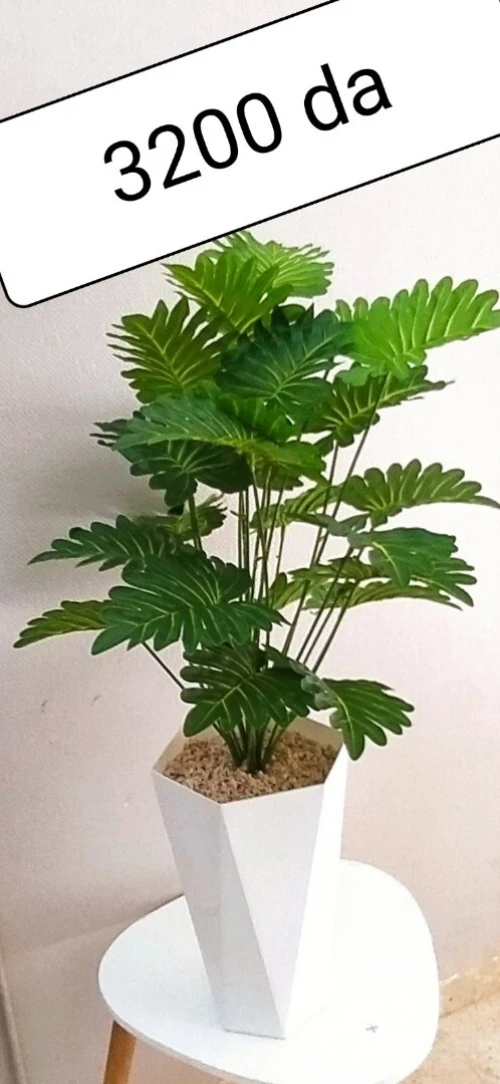 Plantes Artificial