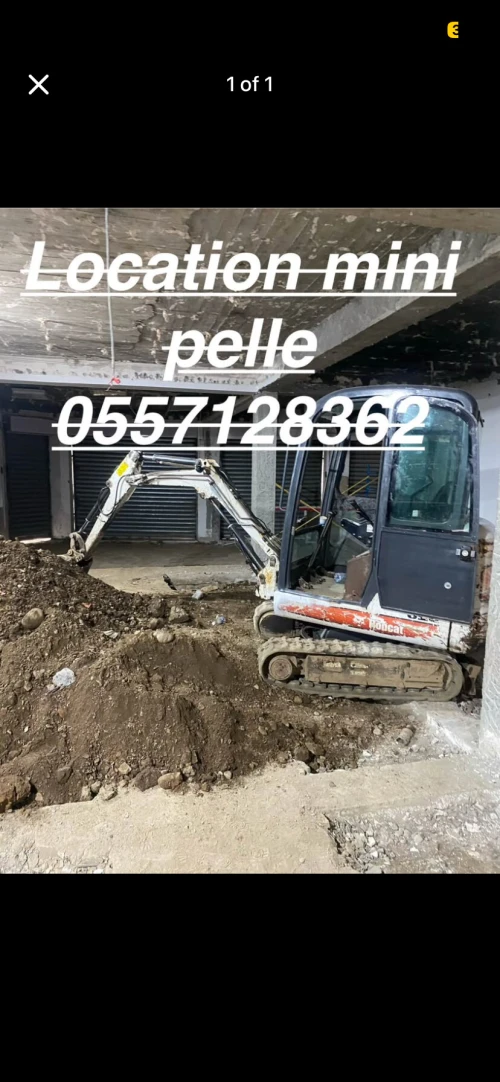Mini pelle Location 2021