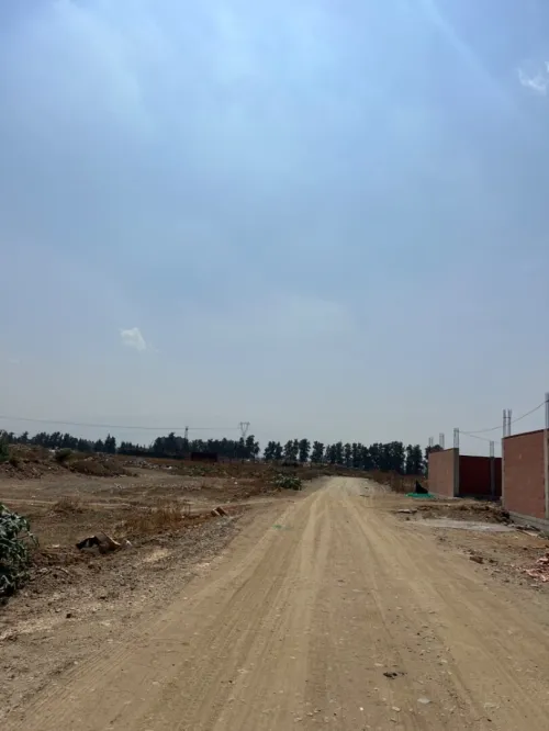 Vente Terrain Alger Tessala el merdja