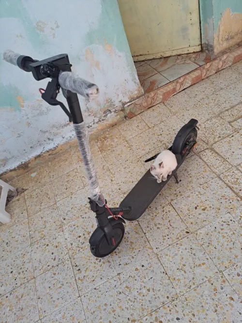 Xiaomi 4