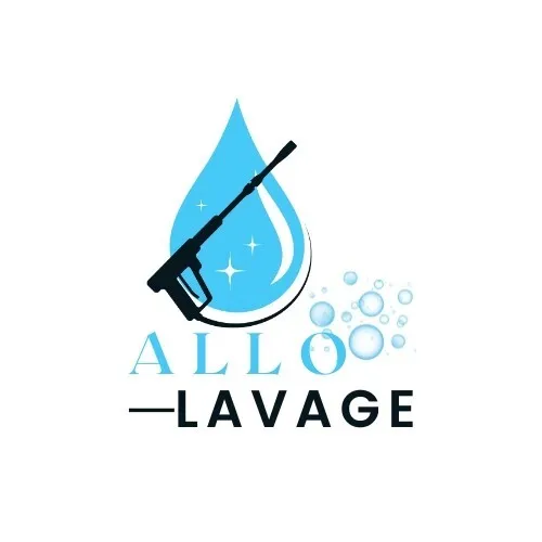 ALLO LAVAGE lavage auto à domicile 