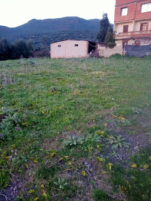 Vente Terrain Béjaïa El kseur